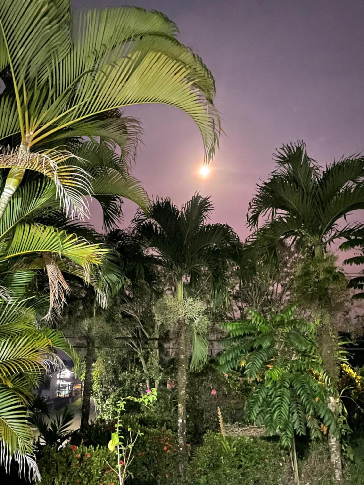 Hotel Tierra De Volcanes La Fortuna المظهر الخارجي الصورة