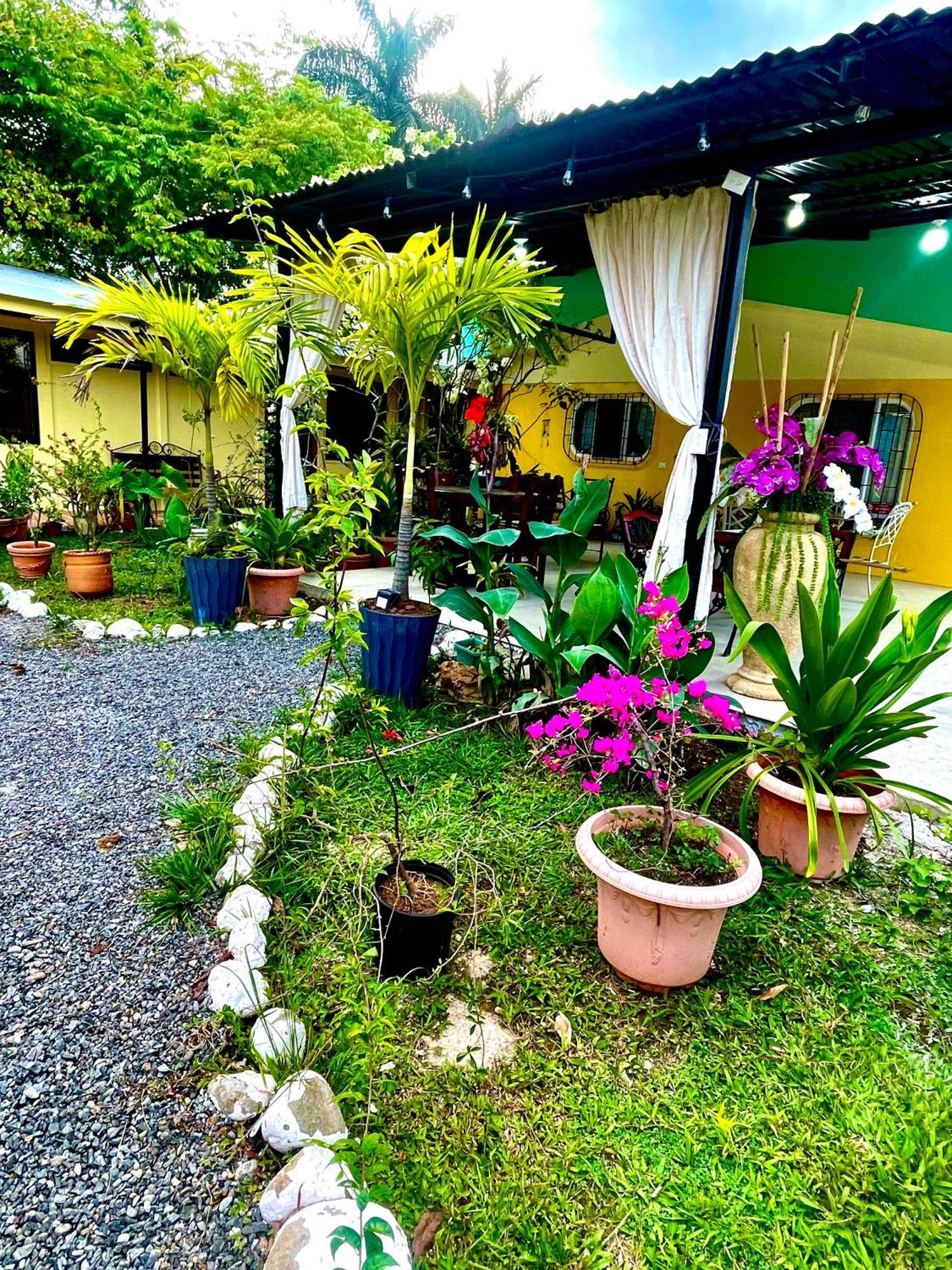 Hotel Tierra De Volcanes La Fortuna المظهر الخارجي الصورة