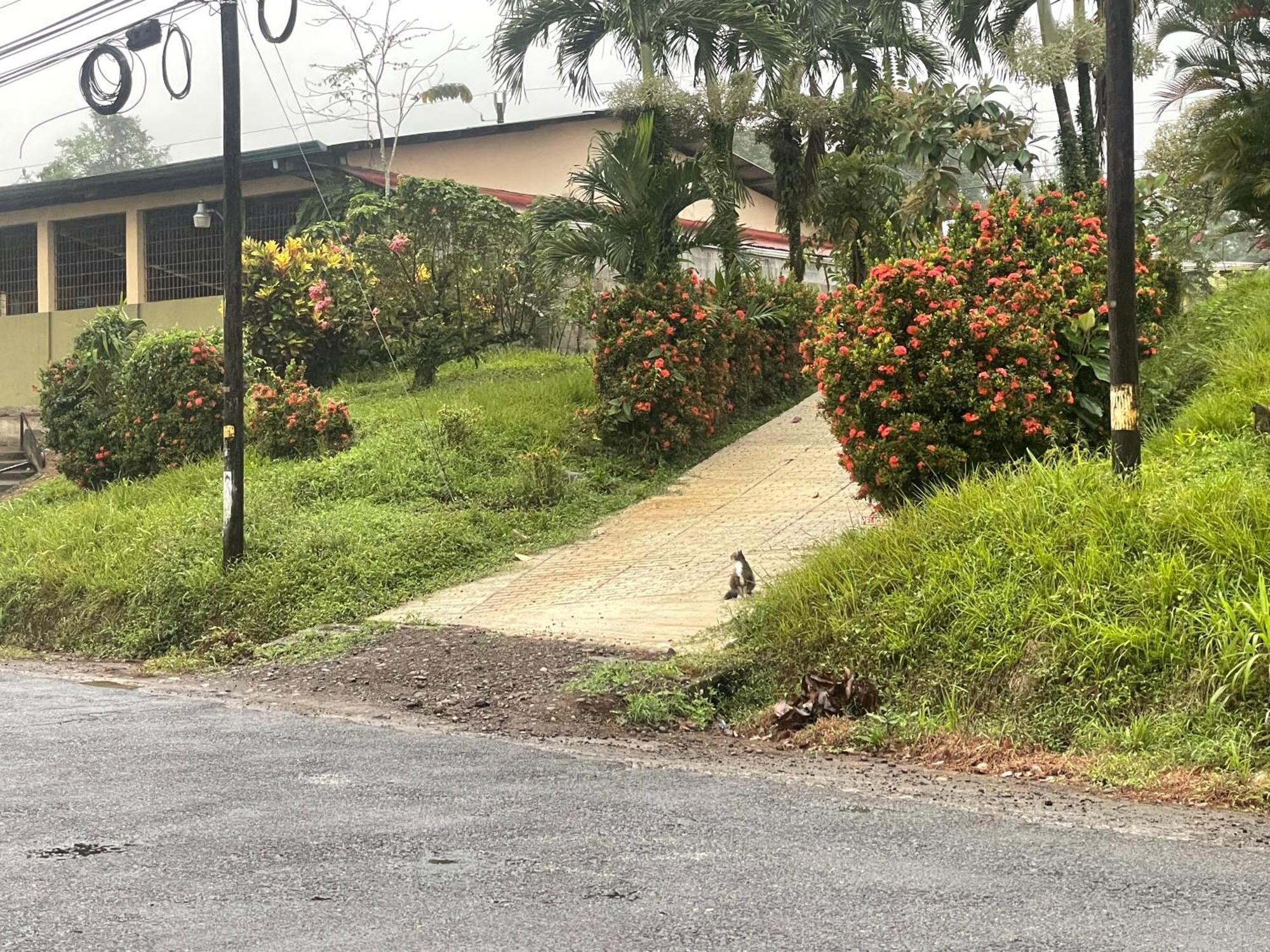 Hotel Tierra De Volcanes La Fortuna المظهر الخارجي الصورة